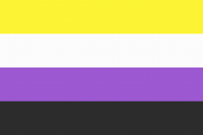 2560px-Nonbinary_flag.svg.png
