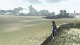 Shadow of the Colossus_SCES-53326_20221231000244.jpg