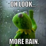 kermit-rain-meme.jpg
