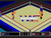 Thunder Pro Wrestling Retsuden ENG002.png