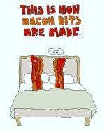 Bacon Bits Start.jpg