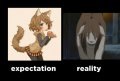 expectation-vs-reality meme edward fma nina.jpg