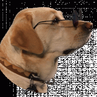 Windracer