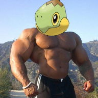 Awesome turtwig