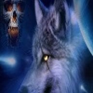 wolf_