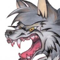 silverwolf689