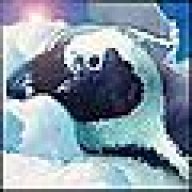 _aflyingpenguin
