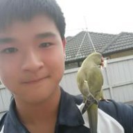 Dan Wu