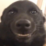dad_d