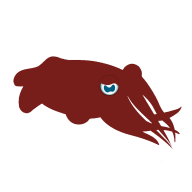 Crimson Cuttlefish