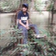 onelastnight