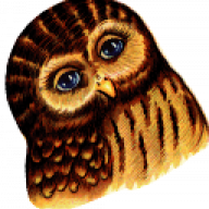 owlmeme