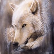 Wolfie103