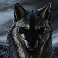 blackwolf25