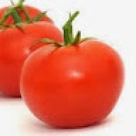 tomatesc