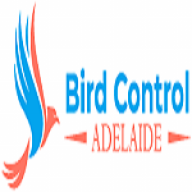 adelaidebirdcontrol