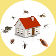 247pestcontrolcanberra