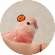 mikansan
