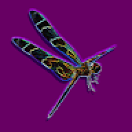 Dragonfly777