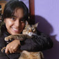Stormycatt