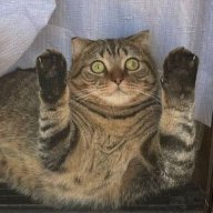 Katbert
