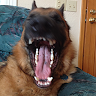 4ni0n