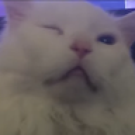 Cackle_Gag