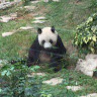 alexwong860101