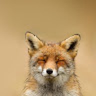 saefvr