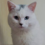 miraiii