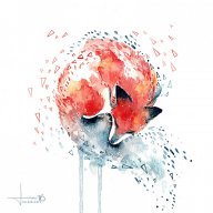SabakuFox