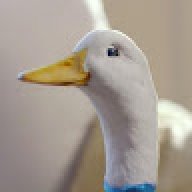 0DirtyDuck0
