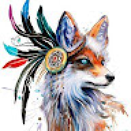 4FoxSake