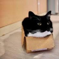 NormalCatelol
