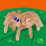 alirmd