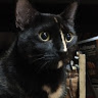 guydoesstuff