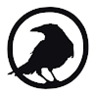 Crow_Calypso