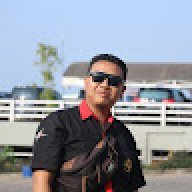 Croco0690