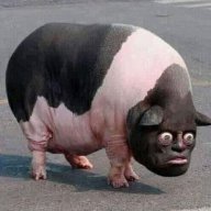 LamogskiePH
