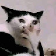 wiihhii006
