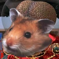 Hippocampus_Hamster