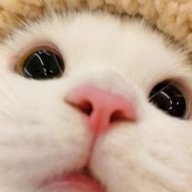 ZogMih