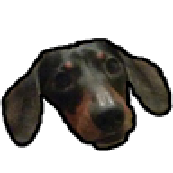 Andy_Bear