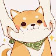 Doge2313141