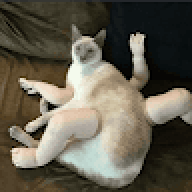 Luwuc