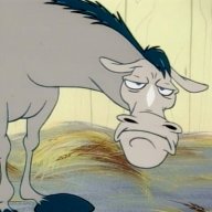 AverageHorse