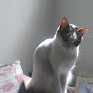 xolacroll
