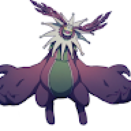 Kraken8888