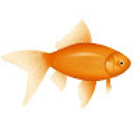 mrfishbsme