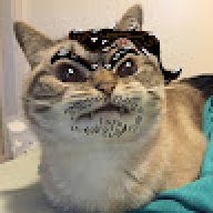 ZiZiBoba